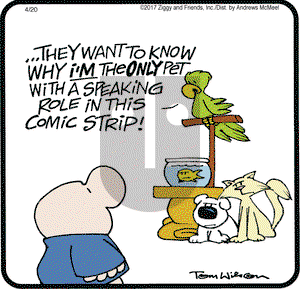 Ziggy on Thursday April 20, 2017 Comic Strip