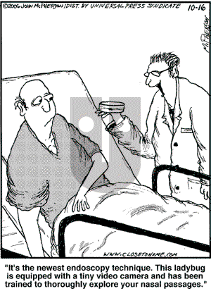 Close to Home on Monday October 16, 2006 Comic Strip