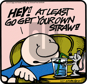 Ziggy - Thursday August 27, 2009 Comic Strip