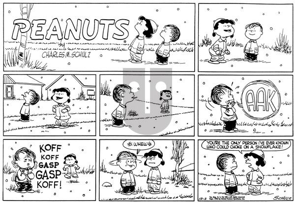 Peanuts on Sunday December 2, 1956 Comic Strip