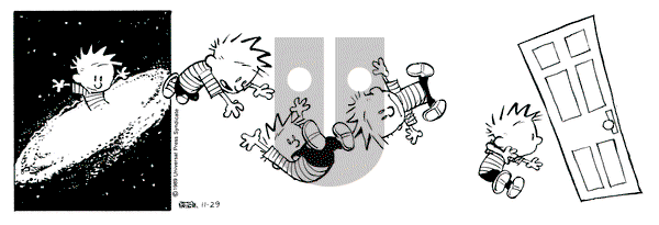 Calvin and Hobbes on Wednesday November 29, 1989 Comic Strip