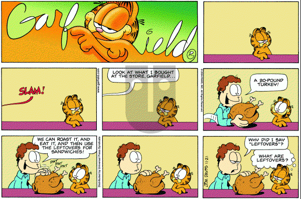 Garfield - Sunday November 21, 2004 Comic Strip