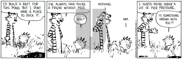 Calvin and Hobbes on Tuesday August 29, 1995 Comic Strip