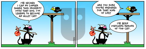 Crumb - Wednesday May 15, 2019 Comic Strip