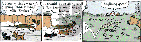 Fred Basset on Wednesday May 9, 2012 Comic Strip