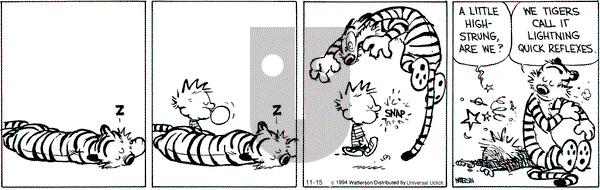 Calvin and Hobbes on Saturday November 15, 2014 Comic Strip