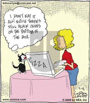 Kit 'N' Carlyle on Friday September 18, 2009 Comic Strip