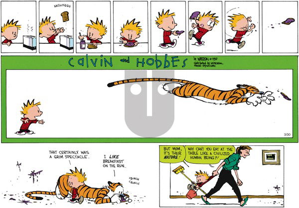 Calvin and Hobbes on Sunday May 16, 1993 Comic Strip