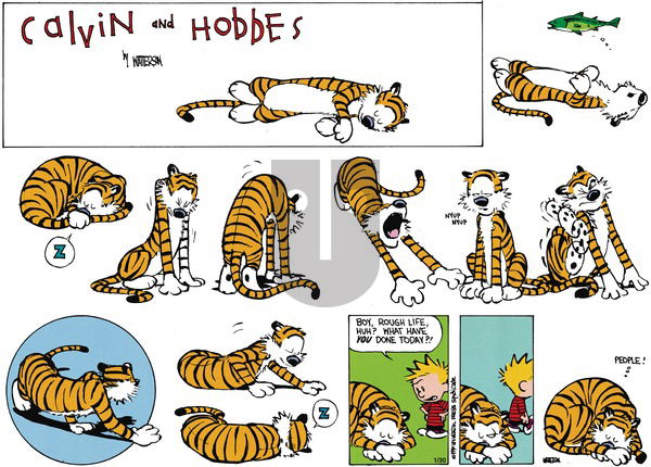 Calvin and Hobbes on Sunday March 18, 1990 Comic Strip