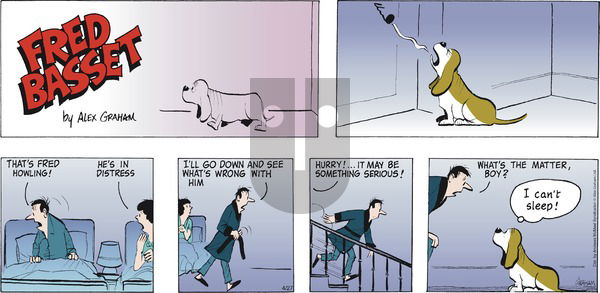 Fred Basset on Sunday April 27, 2025 Comic Strip