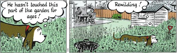 Fred Basset on Wednesday September 29, 2021 Comic Strip