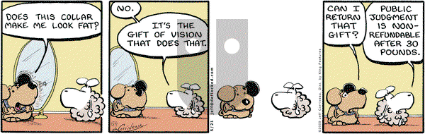 DeFlocked on Thursday May 21, 2009 Comic Strip