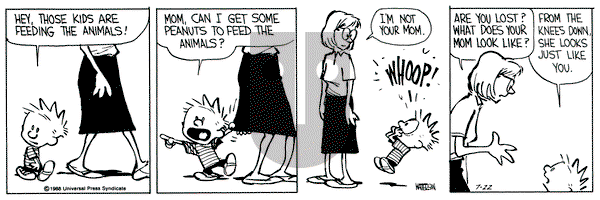 Calvin and Hobbes on Friday July 22, 1988 Comic Strip