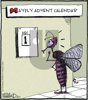 Reality Check on Saturday December 1, 2018 Comic Strip