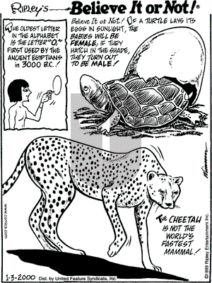 Ripley's Believe It or Not on Monday January 3, 2000 Comic Strip