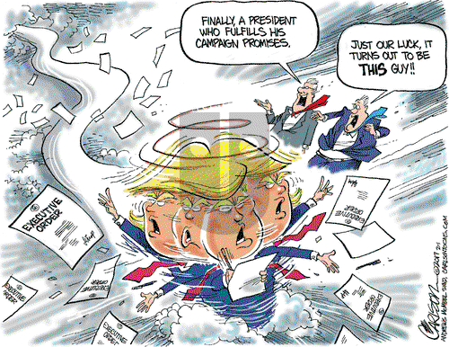 Stuart Carlson on Wednesday February 1, 2017 Comic Strip