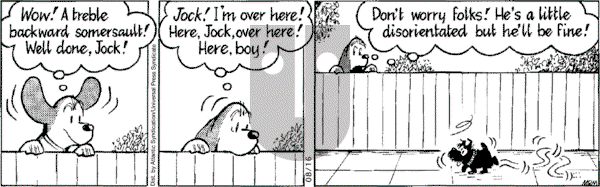 Fred Basset on Thursday August 16, 2007 Comic Strip