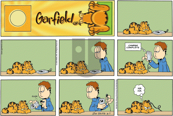 Garfield - Sunday June 7, 2009 Comic Strip