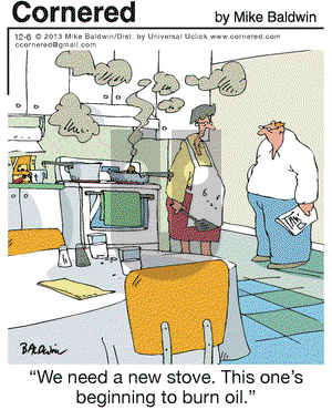Cornered on Friday December 6, 2013 Comic Strip