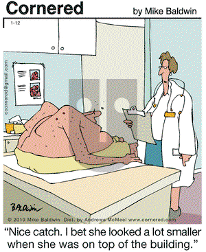 Cornered on Saturday January 12, 2019 Comic Strip
