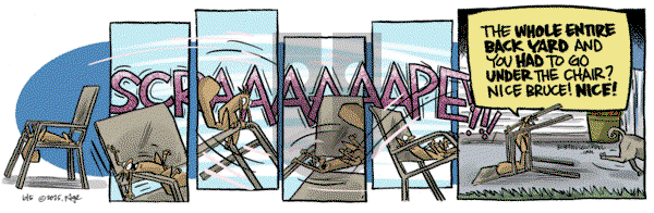 Bob the Squirrel on Thursday June 5, 2025 Comic Strip