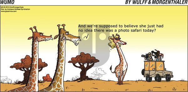WuMo on Sunday June 9, 2019 Comic Strip
