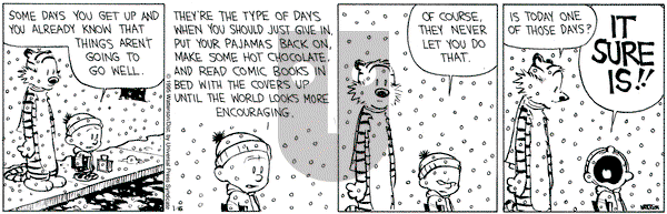 Calvin and Hobbes on Monday January 16, 1995 Comic Strip