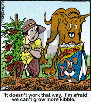 Marmaduke on Wednesday May 29, 2019 Comic Strip