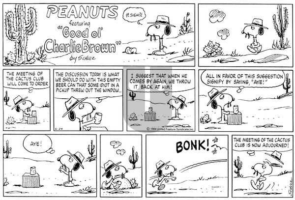 Peanuts on Sunday June 24, 1984 Comic Strip