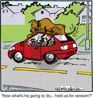 Marmaduke on Thursday November 19, 2009 Comic Strip