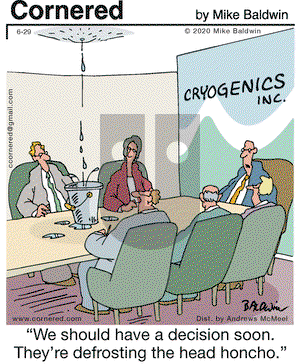 Cornered on Monday June 29, 2020 Comic Strip