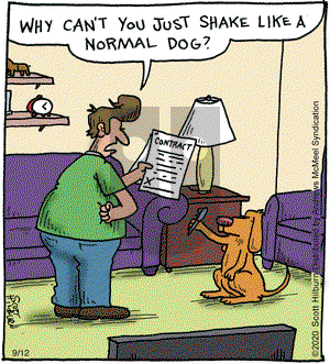 The Argyle Sweater - Saturday September 12, 2020 Comic Strip
