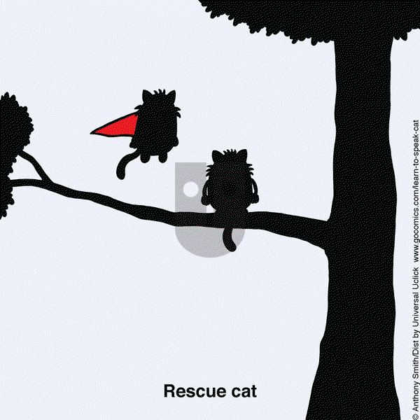 Learn to Speak Cat on Tuesday December 2, 2025 Comic Strip