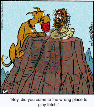 Marmaduke on Saturday December 4, 2010 Comic Strip