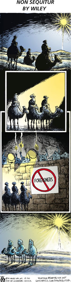 Non Sequitur on Sunday December 20, 2015 Comic Strip