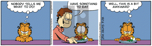 Garfield on Friday May 28, 2004 Comic Strip