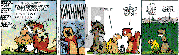 Over the Hedge on Saturday October 31, 2009 Comic Strip
