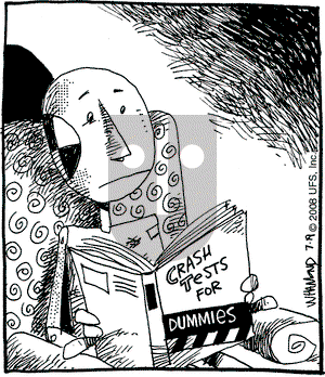 Reality Check on Saturday July 19, 2008 Comic Strip