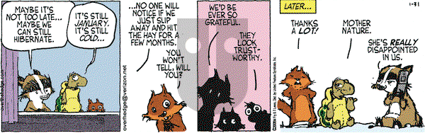 Over the Hedge on Thursday January 31, 2008 Comic Strip