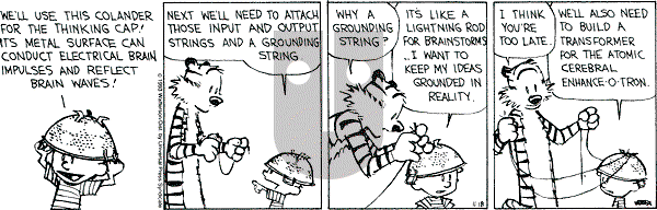 Calvin and Hobbes - Thursday November 18, 1993 Comic Strip