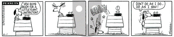 Peanuts on Friday June 1, 1962 Comic Strip