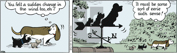 Fred Basset on Tuesday May 31, 2011 Comic Strip