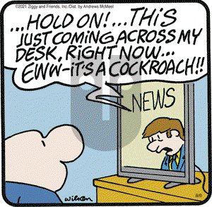 Ziggy on Friday August 6, 2021 Comic Strip