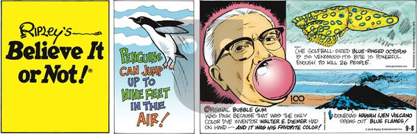 Ripley's Believe It or Not on Sunday September 8, 2019 Comic Strip