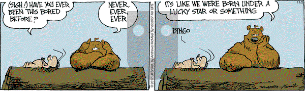 The Grizzwells on Thursday November 2, 2017 Comic Strip