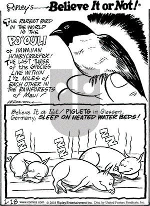 Ripley's Believe It or Not on Saturday January 18, 2003 Comic Strip