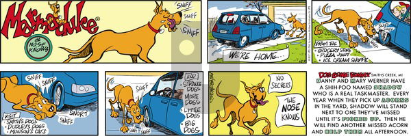 Marmaduke on Sunday December 3, 2017 Comic Strip