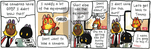 Breaking Cat News on Tuesday November 5, 2019 Comic Strip