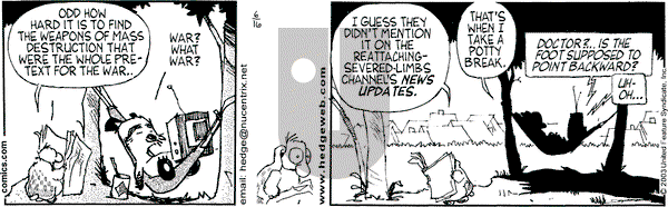 Over the Hedge on Monday June 16, 2003 Comic Strip