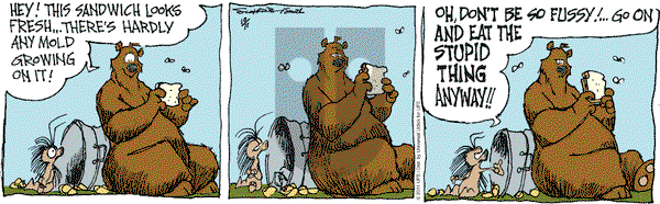 The Grizzwells on Tuesday October 11, 2011 Comic Strip
